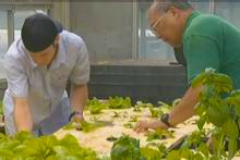 Harry Ako with Sean Short Demonstrating Aquaponics Setup